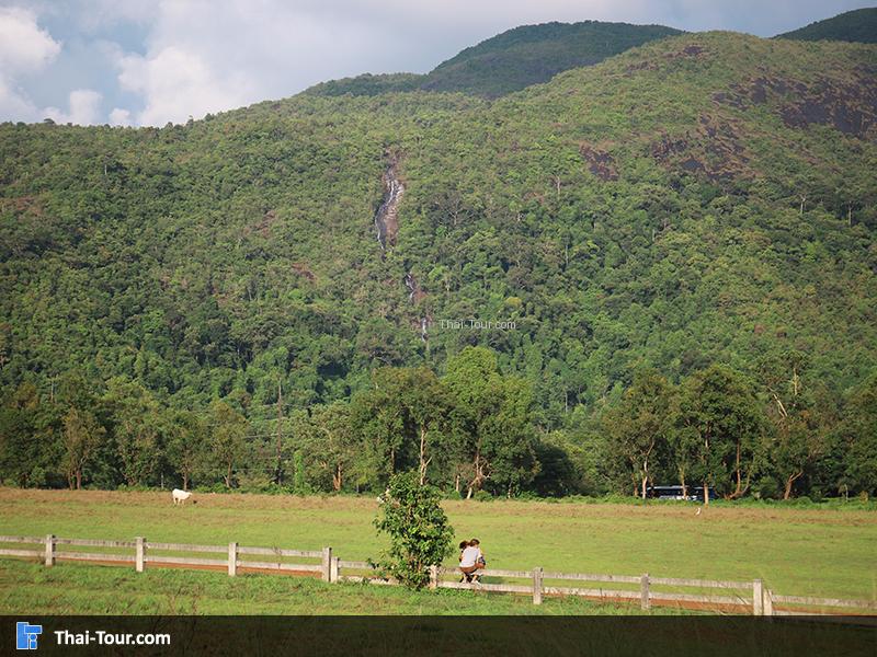 ภูเขาหญ้า