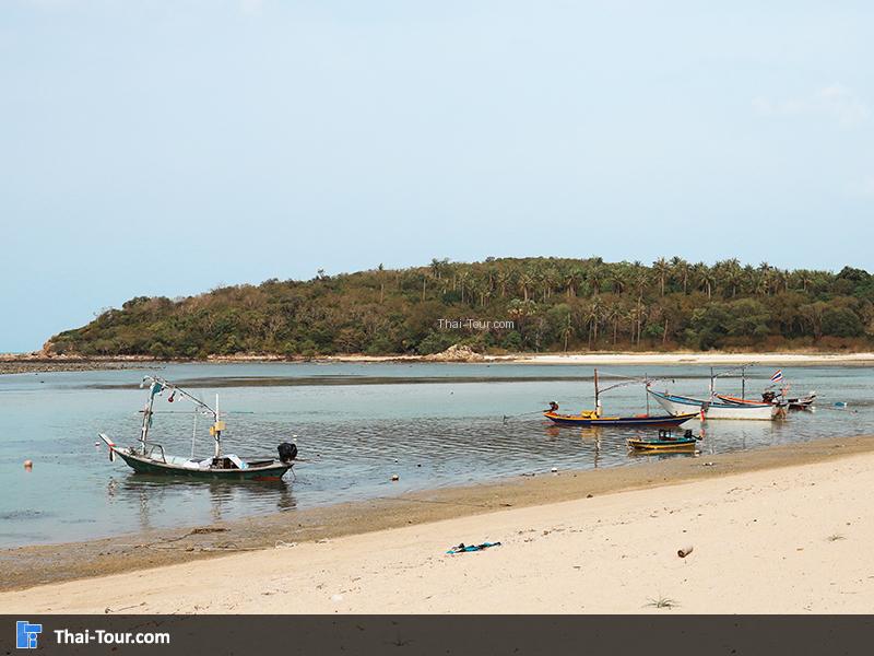 เกาะมัดหลัง