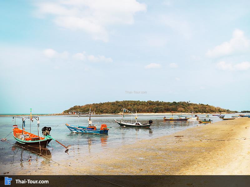 เกาะมัดหลัง