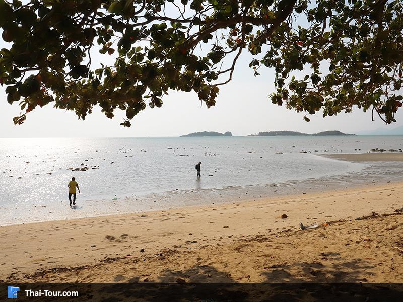 วิวชายหาด