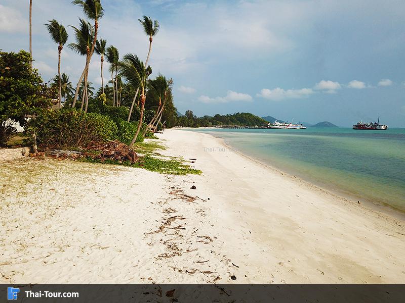 หาดท้องยาง