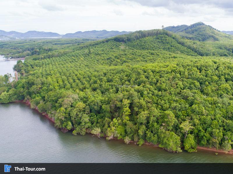 ภาพมุมสูง ท่าเรือแหลมกรวด