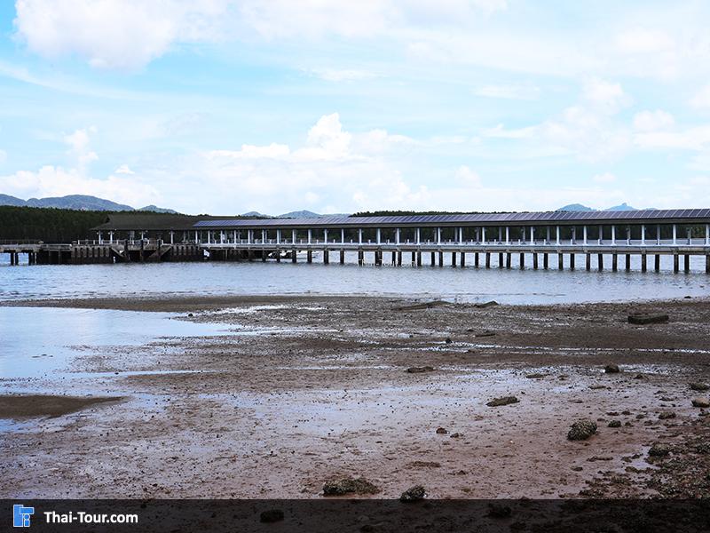 สะพาน ท่าเรือคลองจิหลาด
