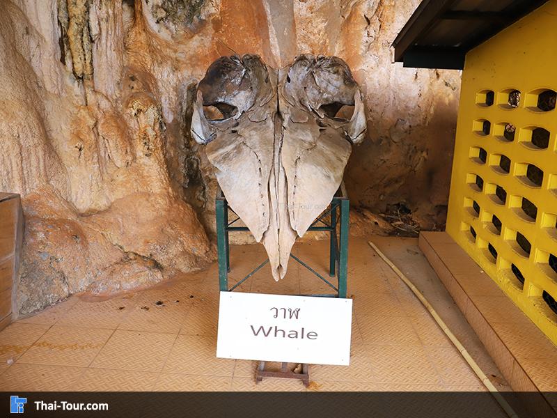 ภายในถ้ำ