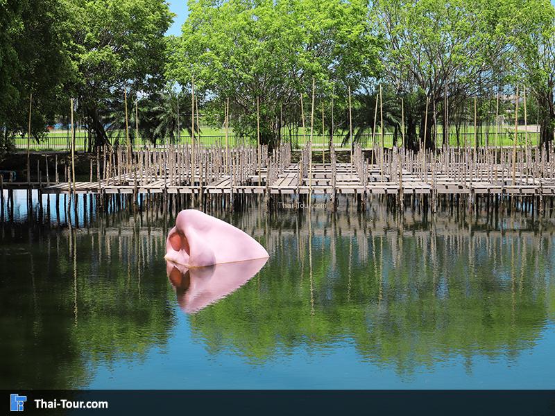 จุดเพาะพันธ์สัตว์น้ำ