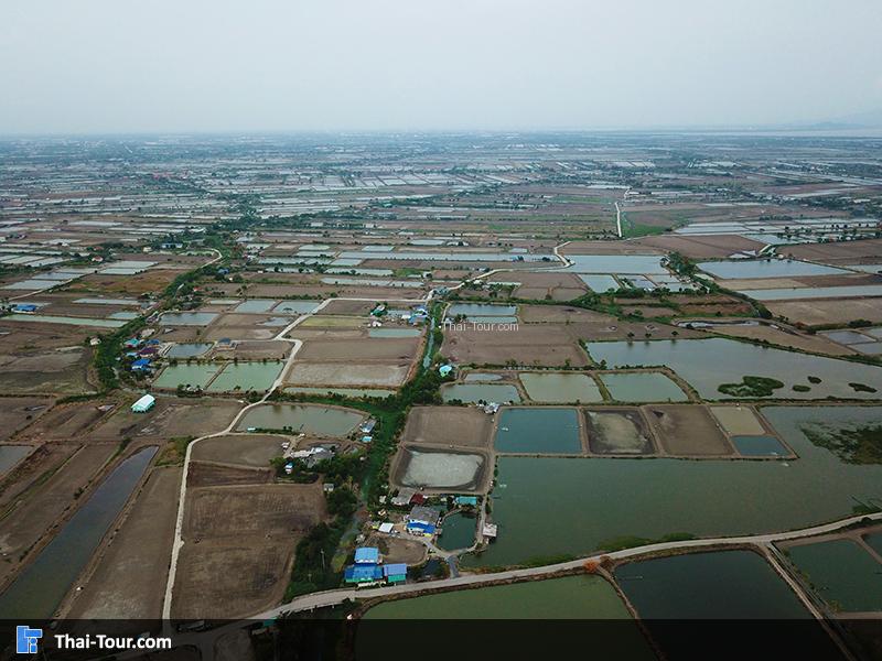 ภาพมุมสูงของวัดปานประสิทธาราม