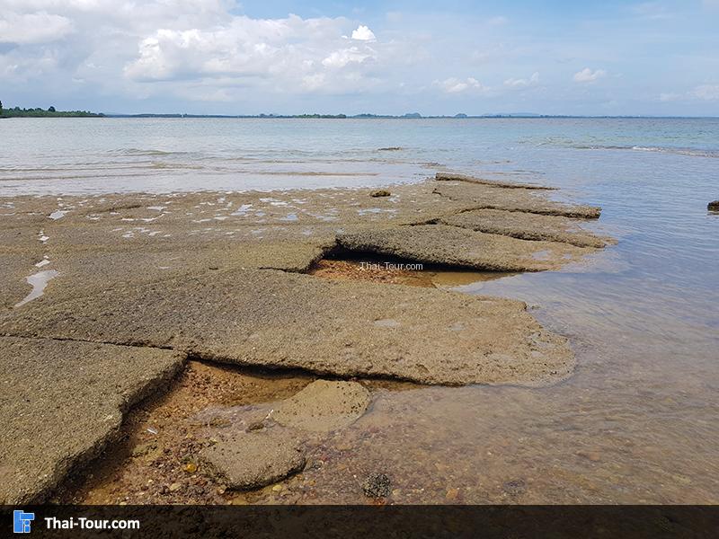 หน้าชายหาด สุสานหอยสี่สิบล้านปี