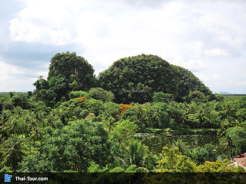 รอบๆ ของ หน้าชายหาด สุสานหอยสี่สิบล้านปี
