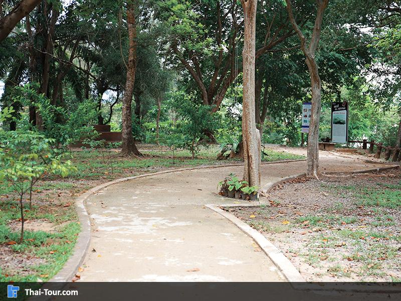 เส้นทาง สุสานหอยสี่สิบล้านปี