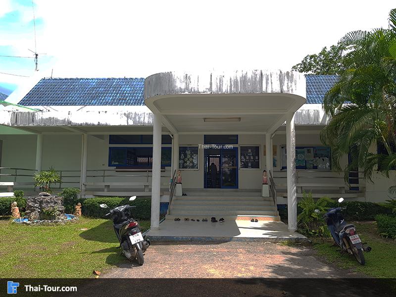 ศูนย์วิจัยและพัฒนาประมงชายฝั่งกระบี่  ปลาการ์ตูน