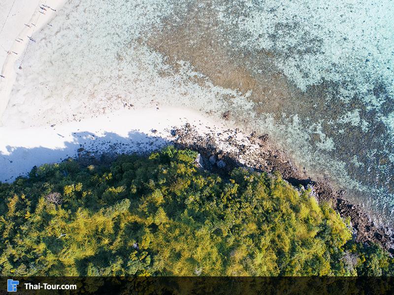 ภาพมุมสูง ทะเลแหวก