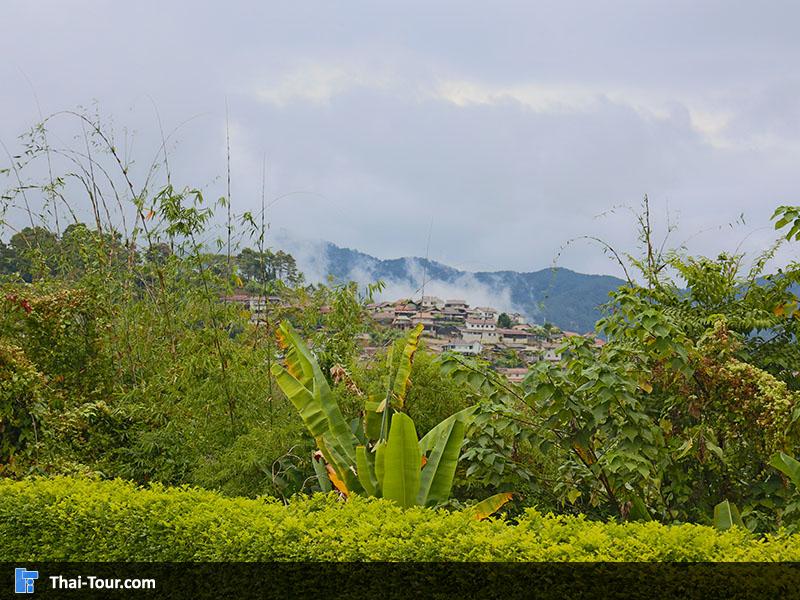 ทิวทัศน์รอบๆ บ้านอาข่าป่ากล้วย