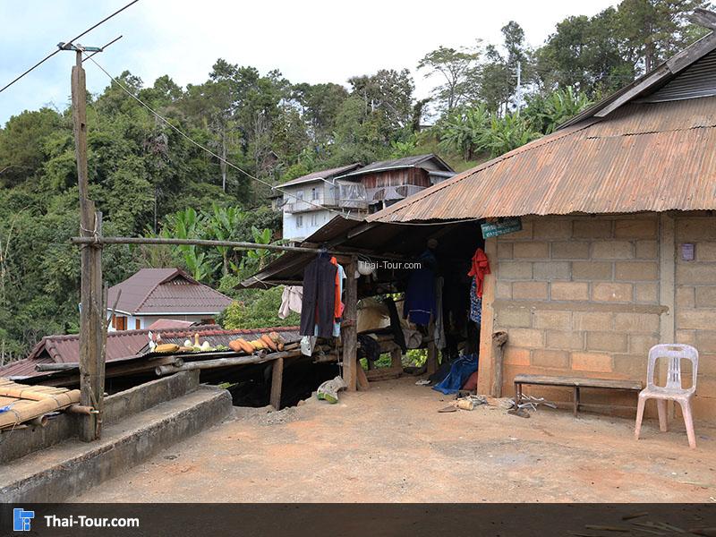 บ้านอาข่าป่ากล้วย