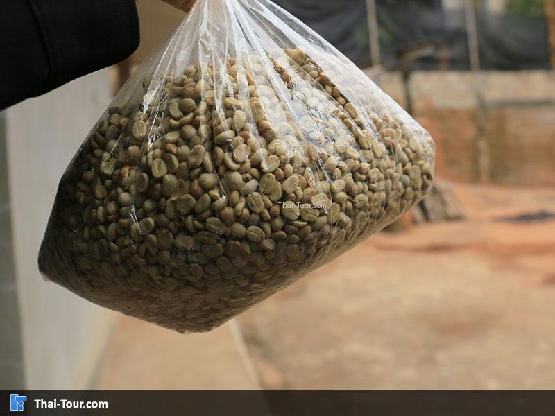 เมล็ดกาแฟ ที่คัดออกใส่ถุง