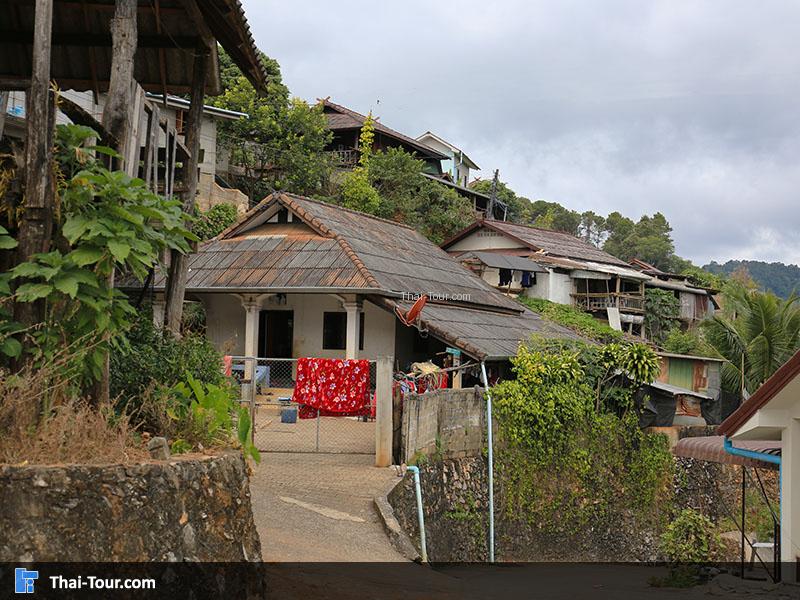 บ้านอาข่าป่ากล้วย