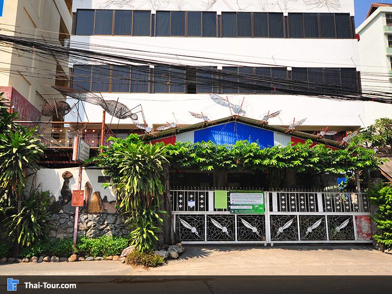 ทางเข้า พิพิธภัณฑ์แมลงโลกและสิ่งมหัศจรรย์ธรรมชาติรวบรวมแมลงชนิดต่างๆ 