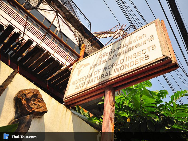 ป้ายพิพิธภัณฑ์แมลงโลกและสิ่งมหัศจรรย์ธรรมชาติรวบรวมแมลงชนิดต่างๆ