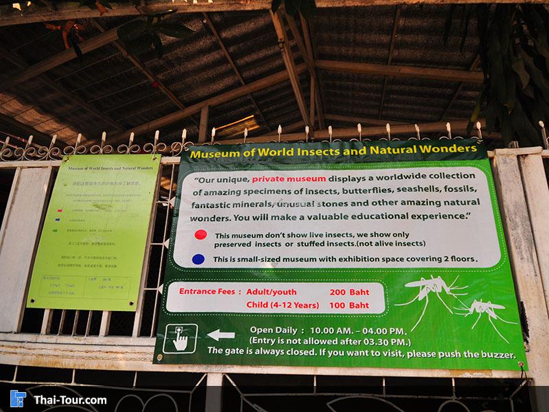 ราคาค่าเช้า 200 บาทผู้ใหญ่ 100 บาาทเด็ก