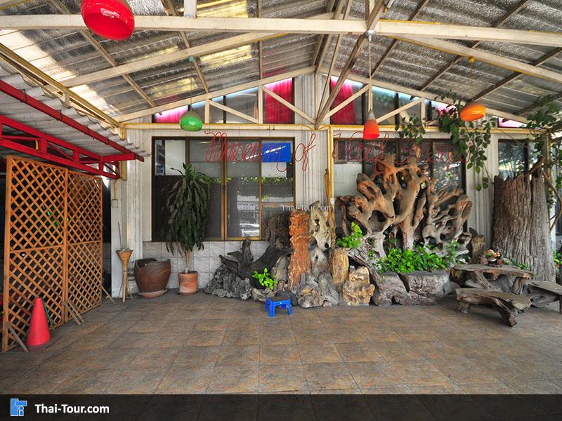 บรรยากาศภาคใน พิพิธภัณฑ์แมลงโลกและสิ่งมหัศจรรย์ธรรมชาติรวบรวมแมลงชนิดต่างๆ