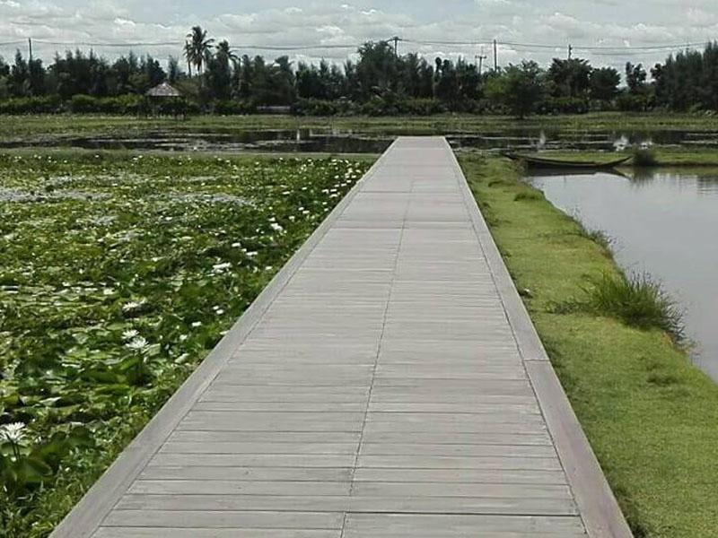 สะพาน ดูบัวคาเฟ่