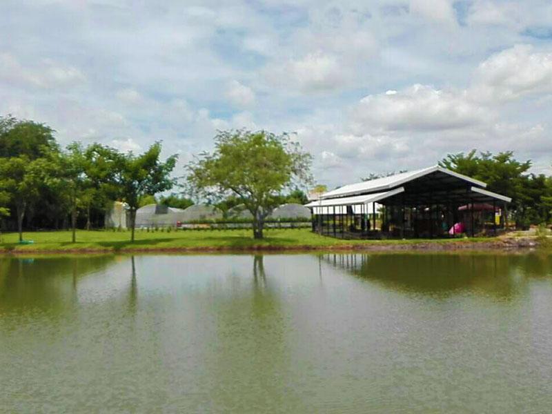 วิวสวย ๆ ดูบัวคาเฟ่