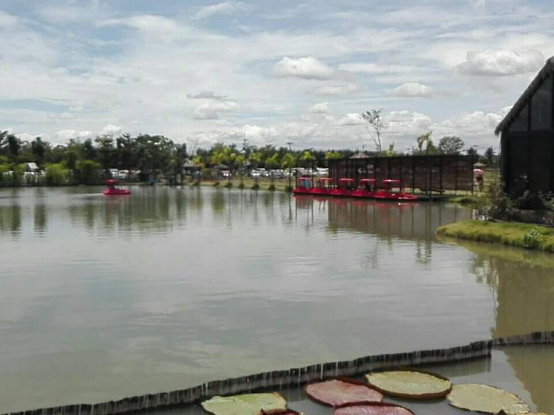 ดูบัวคาเฟ่