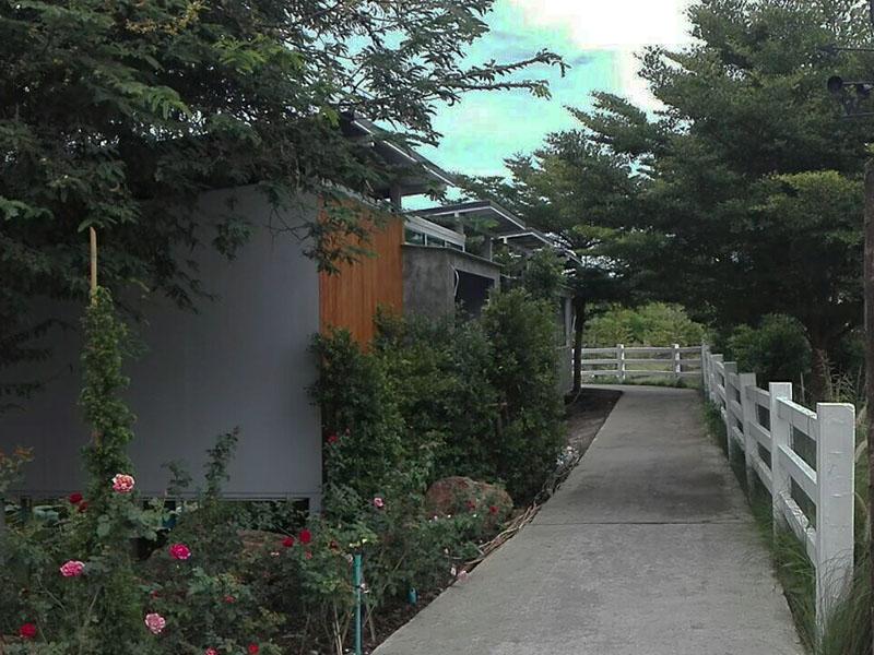 ดูบัวคาเฟ่