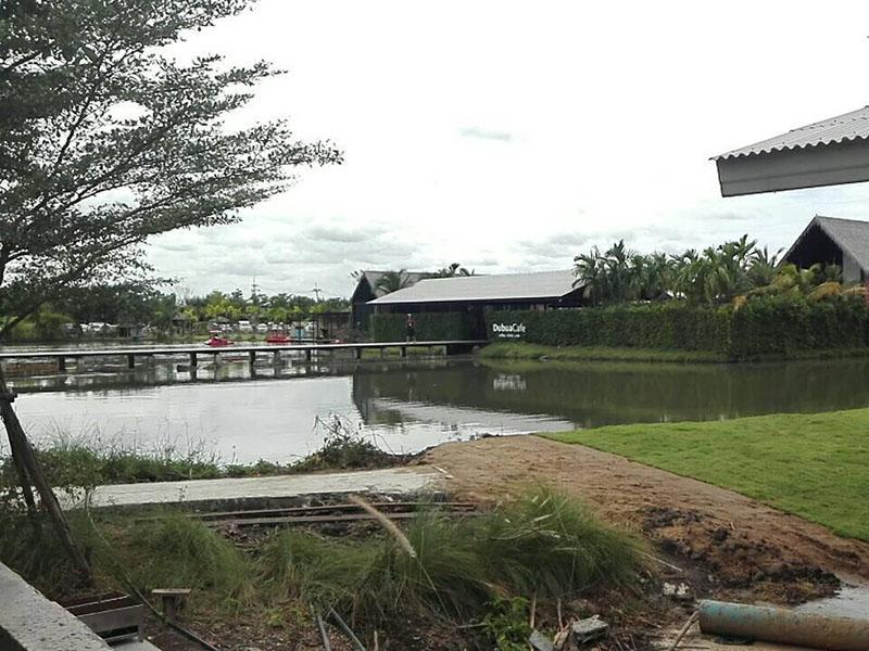 ดูบัวคาเฟ่