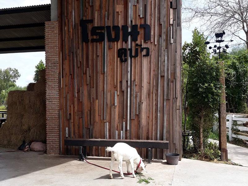 โรงนา ดูบัว