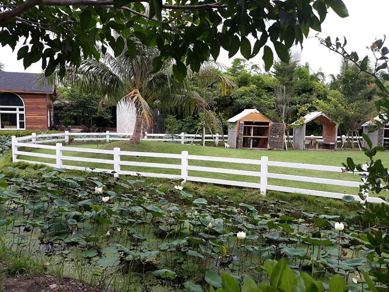 ดูบัวคาเฟ่