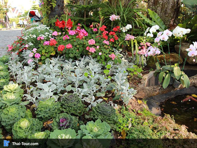 สวนย่อมภายในพระตำหนักภูพิงค์ฯ