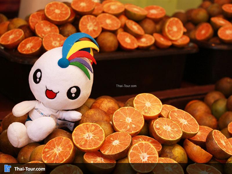 ร้านขายน้ำส้มคั้นสดภายในพระตำหนักภูพิงค์ฯ