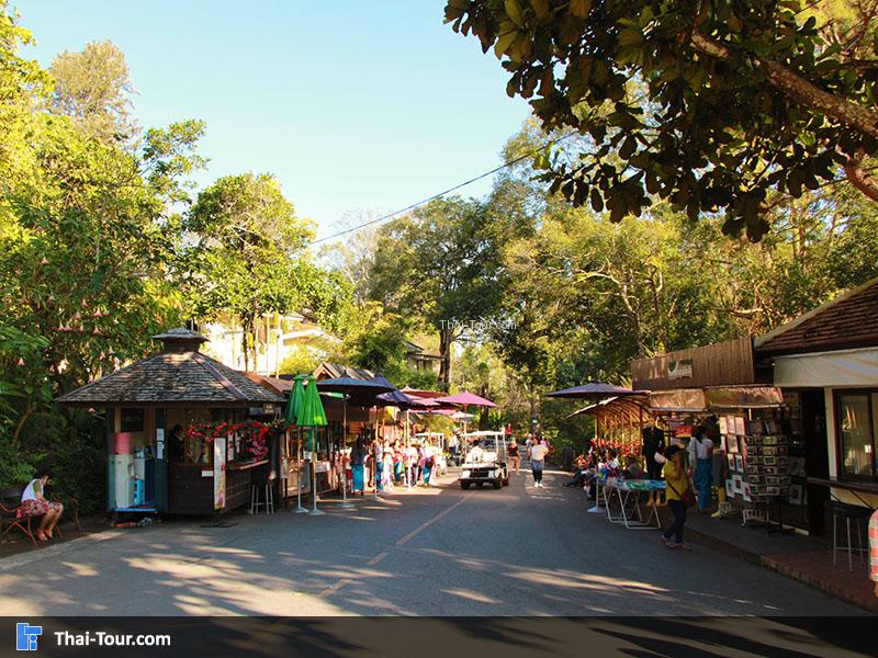 ตลาดรินถนนภายในพระตำหนักภูพิงคราชนิเวศน์