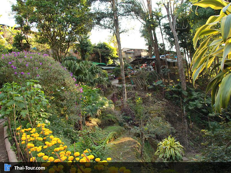 บรรยากาศดอยปุย