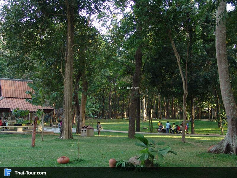 บรรยากาศ ธรรมชาติมาก สวนรุกขชาติห้วยแก้ว