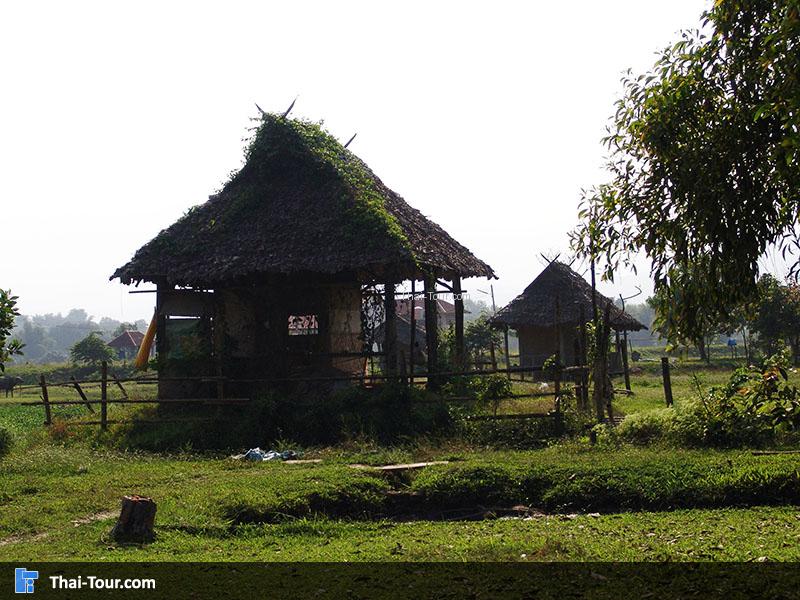 บ้านควายไทย