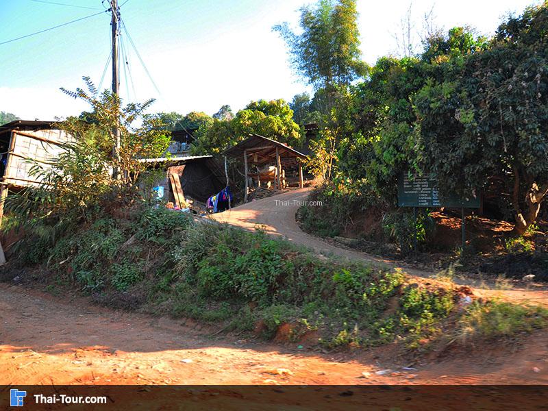 บริเวณถนนบ้านม้ง (แม้ว) แม่สาใหม่