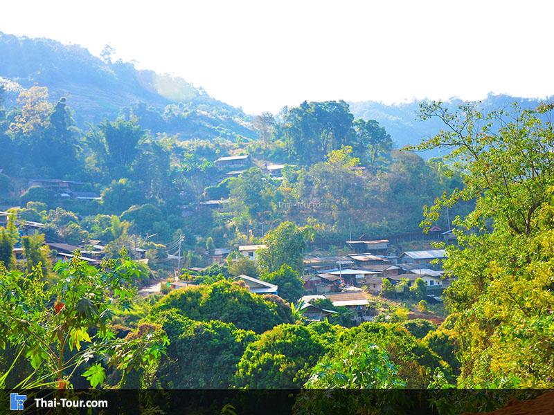 ชาวบ้านบ้านม้ง (แม้ว) จะอยู่บริเวณ เนินเขา