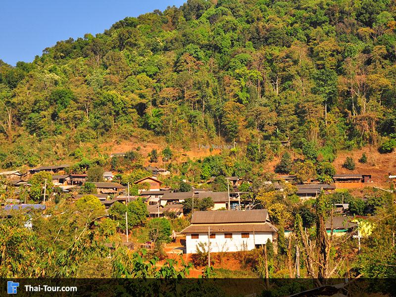 ชาวบ้านบ้านม้ง (แม้ว) จะอยู่บริเวณ เนินเขา