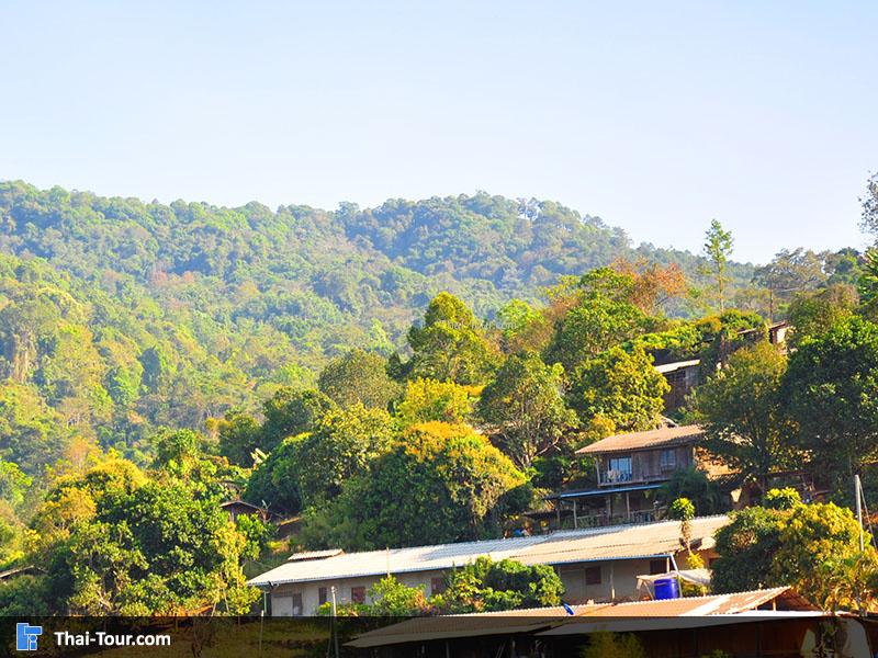 ชาวบ้านบ้านม้ง (แม้ว) จะอยู่บริเวณ เนินเขา