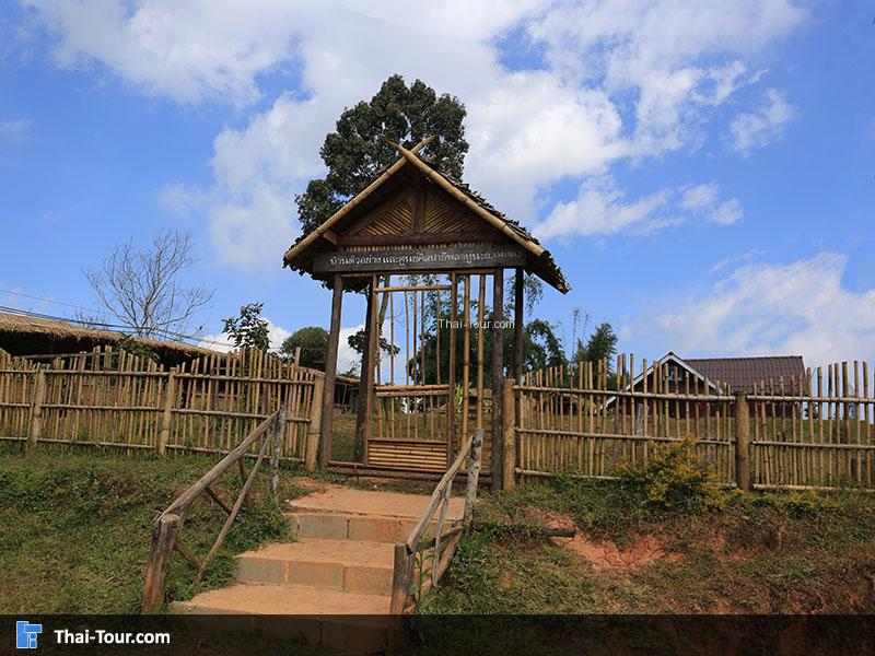 มุมสวยๆ หมู่บ้านขอบด้ง