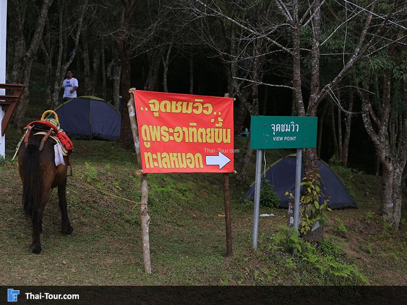 จุดชมวิวขอบด้ง เป็นจุดชมวิวที่ผู้คนส่วนใหญ่นิยมมาชมพระอาทิตย์ขึ้น และชมทะเลหมอก