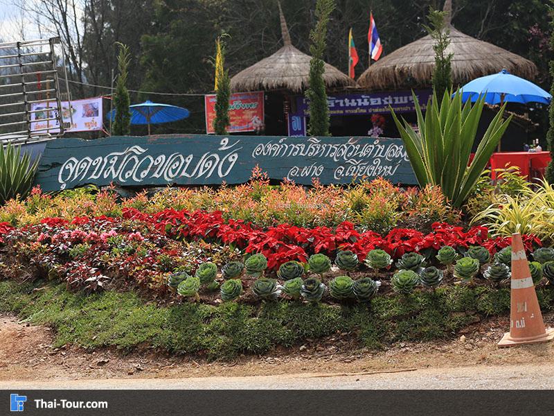 อากาศดี ต้นไม้ออกดอกสวยงาม