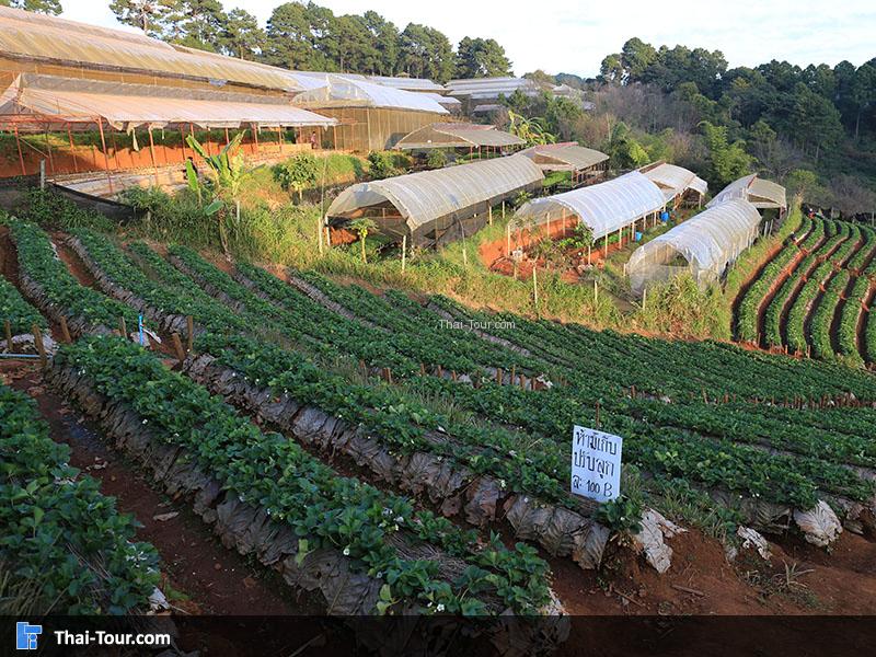 อากาศเย็นเป็นธรรมชาติ