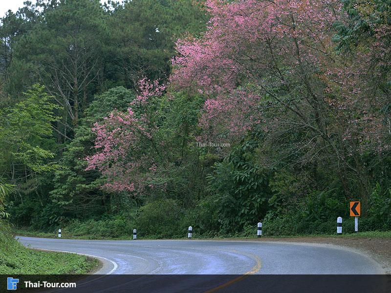 มองไกลๆก็ยังสวย