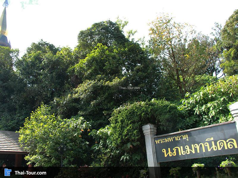 พระมหาธาตุนภเมทนีดลและพระมหาธาตุนภพลภูมิสิริ