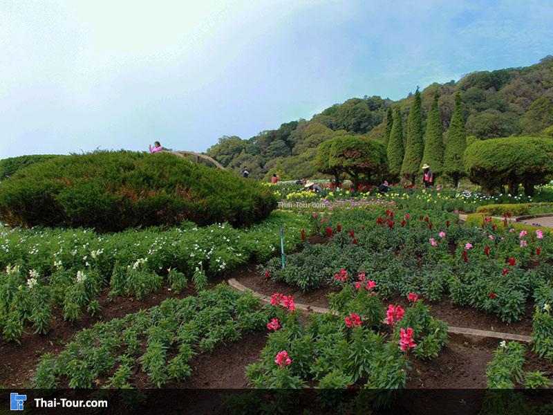 บรรยากาศสวนย่อมบริเวณพระมหาธาตุนภเมทนีดลและพระมหาธาตุนภพลภูมิสิริ