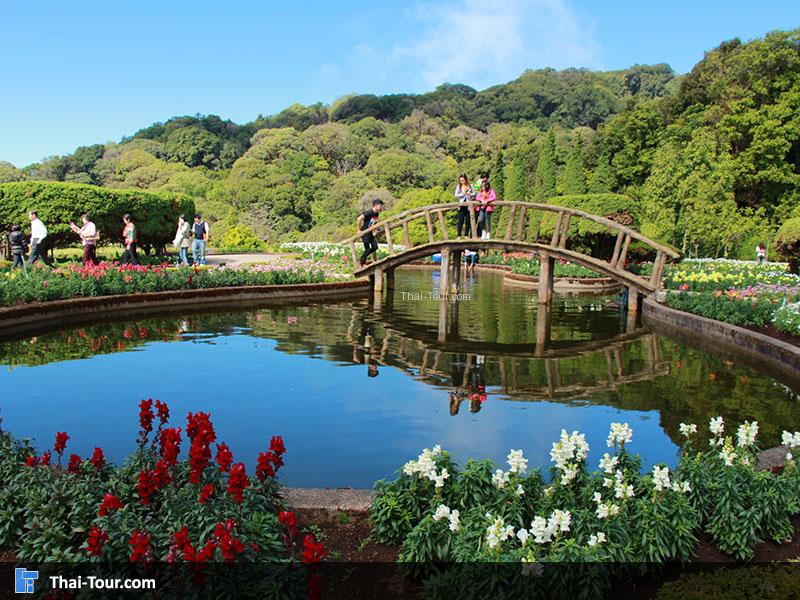 บรรยากาศสวนย่อมบริเวณพระมหาธาตุนภเมทนีดลและพระมหาธาตุนภพลภูมิสิริ