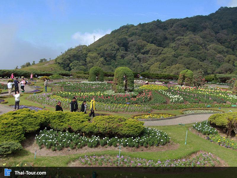 บรรยากาศสวนย่อมบริเวณพระมหาธาตุนภเมทนีดลและพระมหาธาตุนภพลภูมิสิริ
