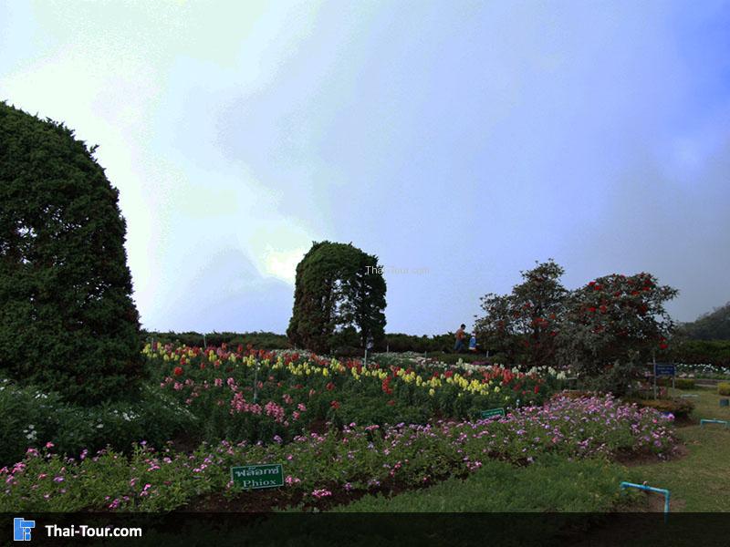 บรรยากาศสวนย่อมบริเวณพระมหาธาตุนภเมทนีดลและพระมหาธาตุนภพลภูมิสิริ